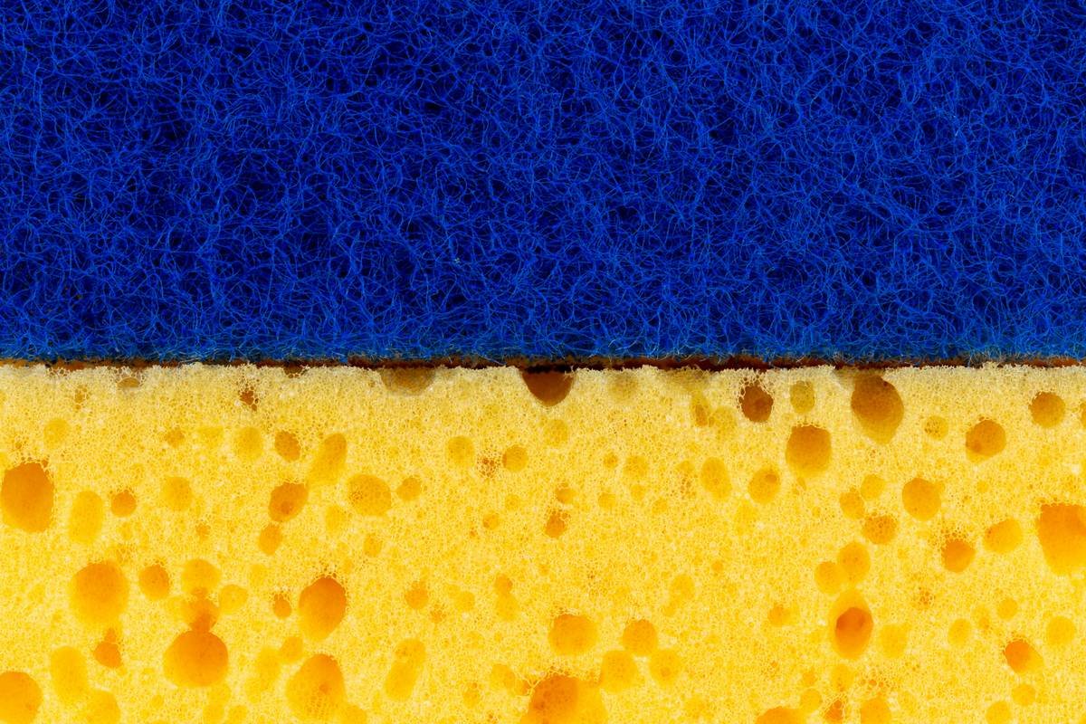 The Ultimate Guide to Choosing and Using a Makeup Sponge Applicator (Without Wasting Product or Your Sanity)